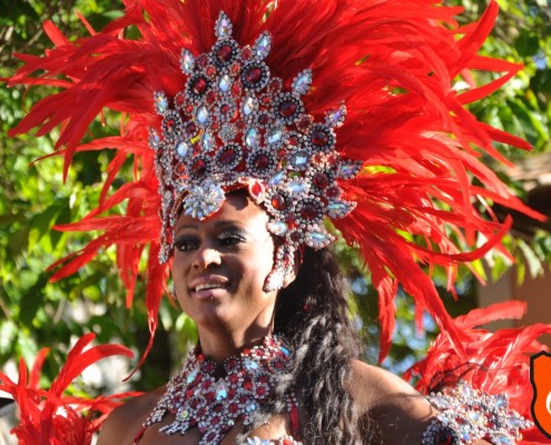 Marlene Festa de Aniversario Samba Show 0001