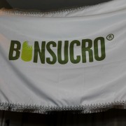 Evento Corporativo – Bonsucro – Bandeira de Samba Personalizada Bandeira de Escola de Samba Personalizada em evento Corporatibo